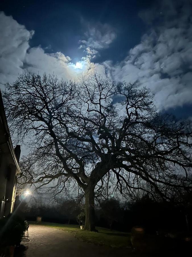 Podere Il Giurato Fauglia Exteriör bild