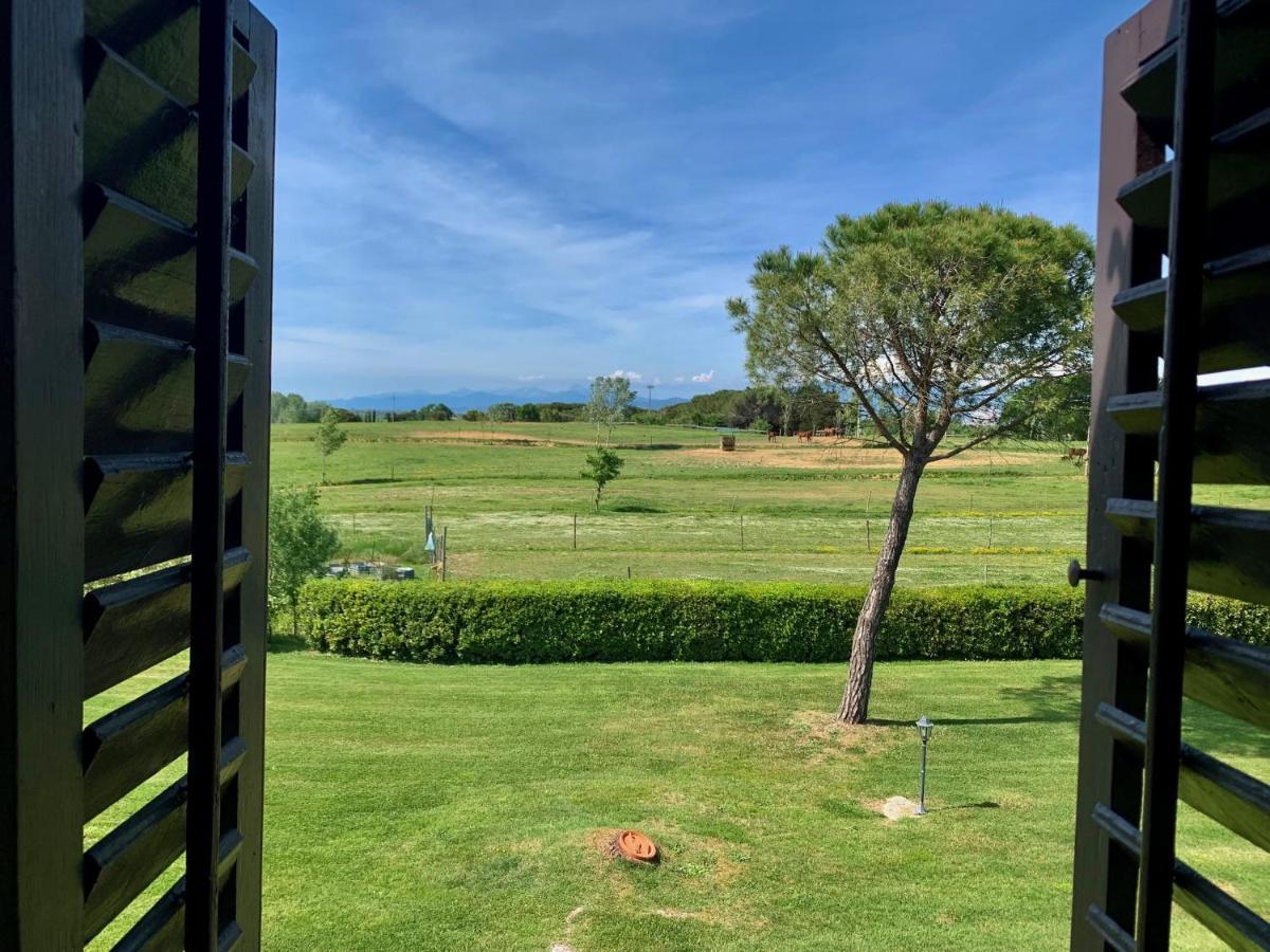 Podere Il Giurato Fauglia Exteriör bild