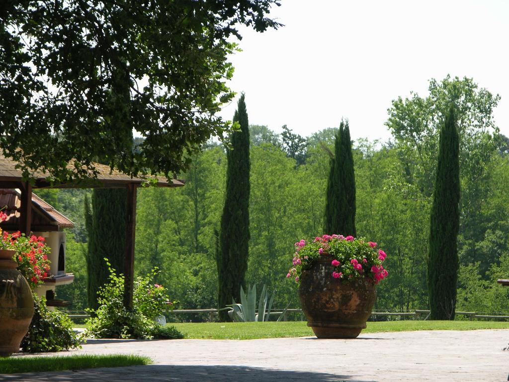 Podere Il Giurato Fauglia Exteriör bild